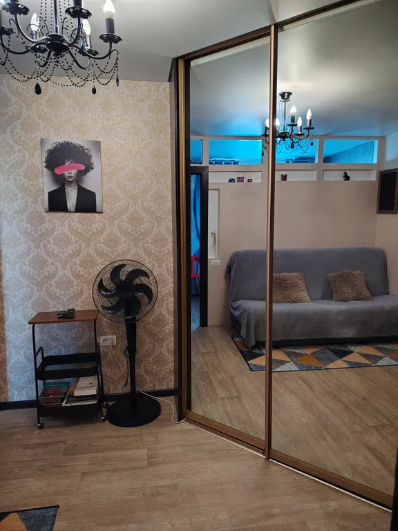 Однокомнатная квартира, зонированная на две зоны.