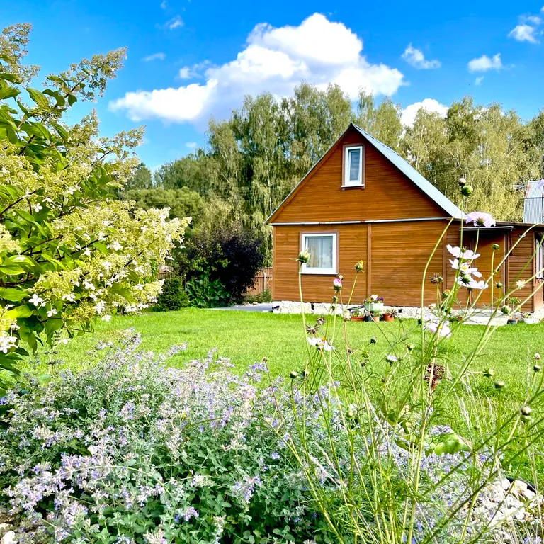 Милая и уютная дача в окружении живописного леса