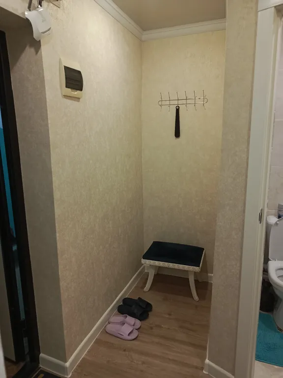 Уютная квартира с видом на величественные снежные горы