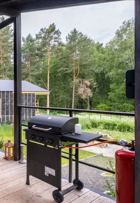 Современный дом с баней в лесу