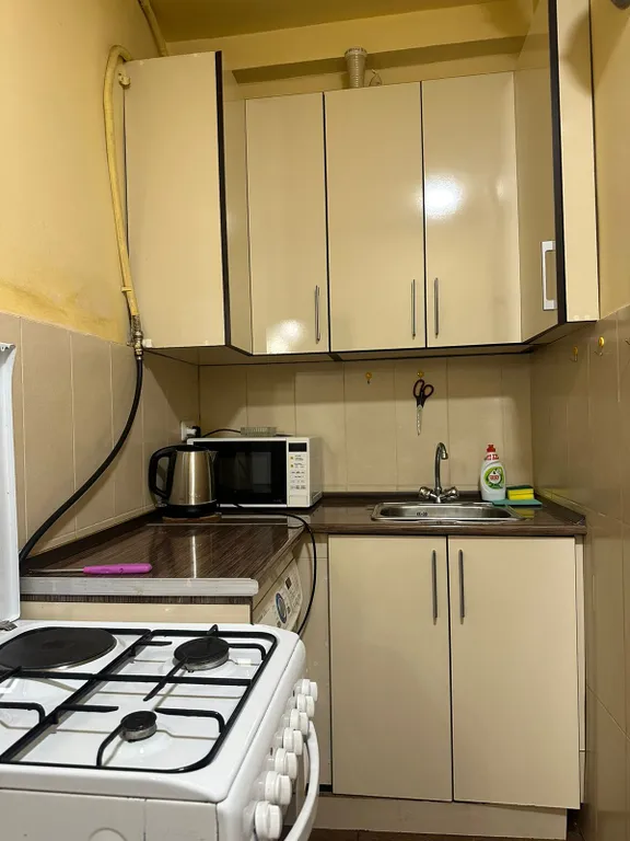 Avchieva's apt on Mashtots Ave