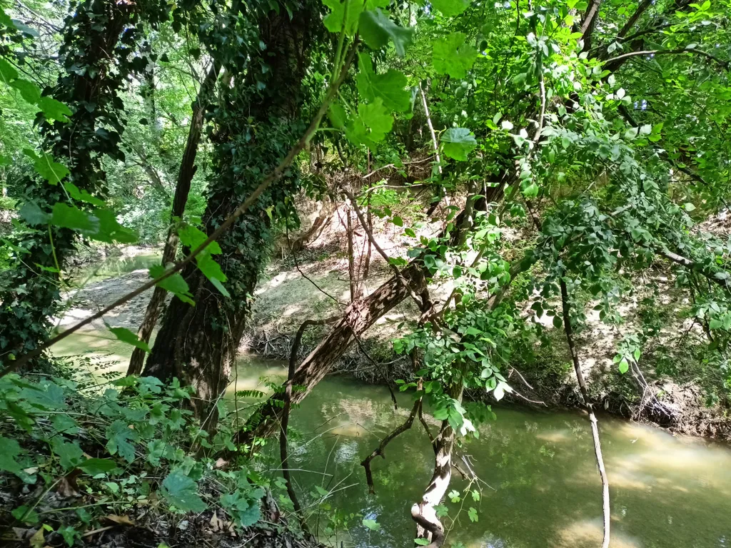 Коттедж Дом в лесу у реки — Севастополь
