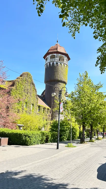 Квартира Уютная квартира-студия — Светлогорск