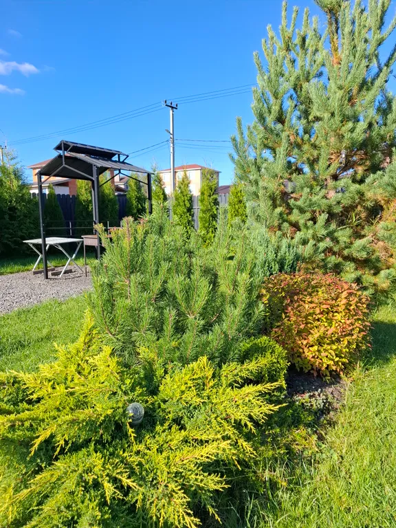 Уютный норвежский дом