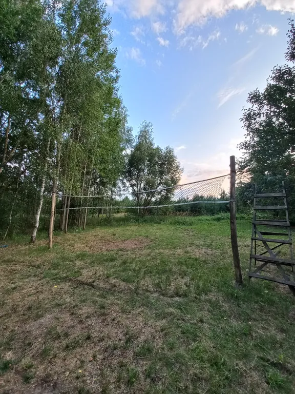 Деревянный дом в лесу рядом с рекой