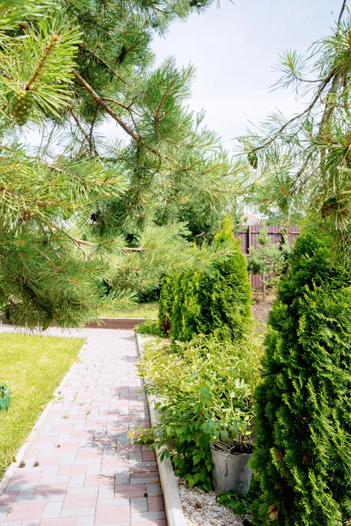 Уникальная локация-отдельный этаж из 3 комнат в спа-комплексе