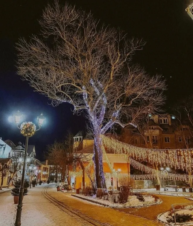 Кранц-престиж в центре у моря