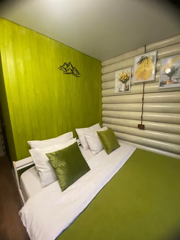 Двухместный страндарт с видом на горы с балконом