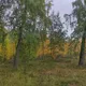 Гостевая квартира с видом на Экопарк