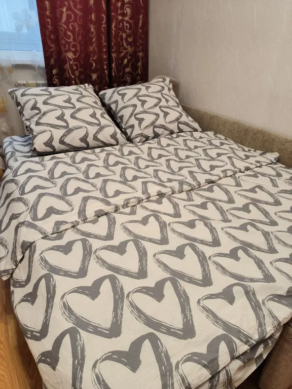 1-комнатная квартира в центре у достопримечательностей с закрытым двором