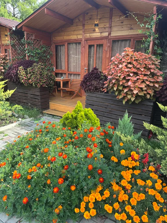 Коттедж 1-комнатный Дом — Гагра