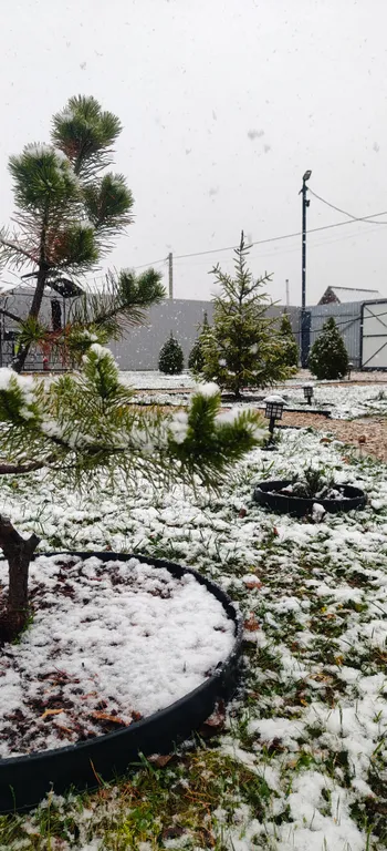 Коттедж Oasis denden дом с купелью — Михнево