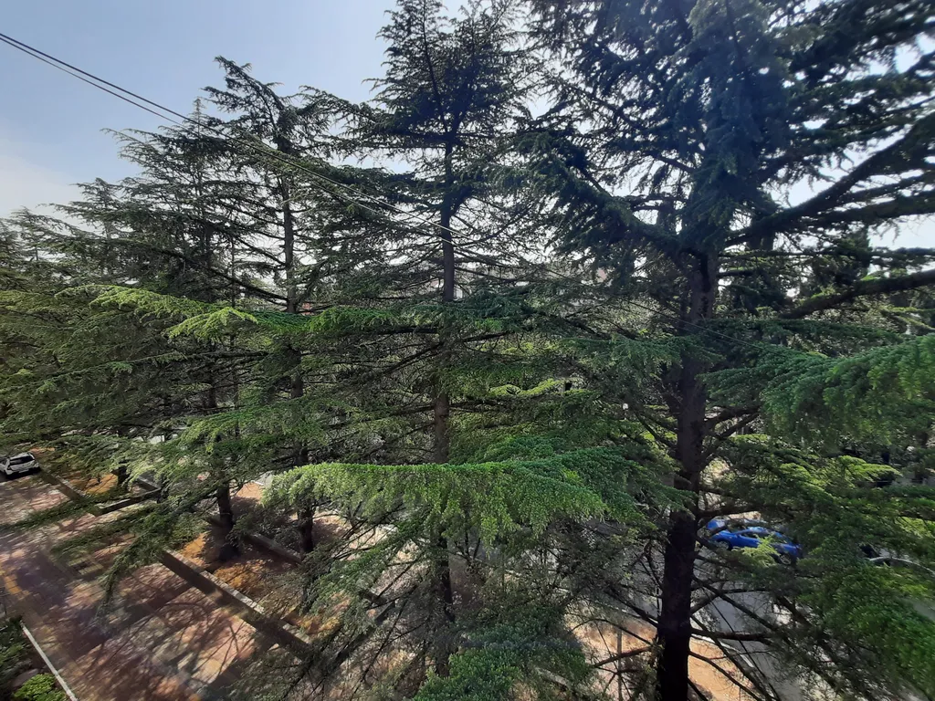 Светлая квартира