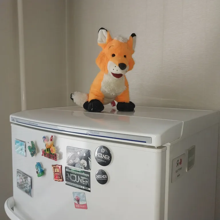 Квартира в новом доме с медведем