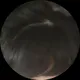 Наталия Владимировна