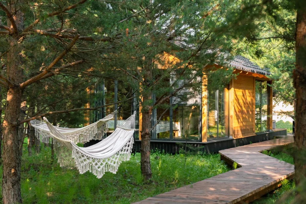 Шале посреди молодого сосново-березового леса