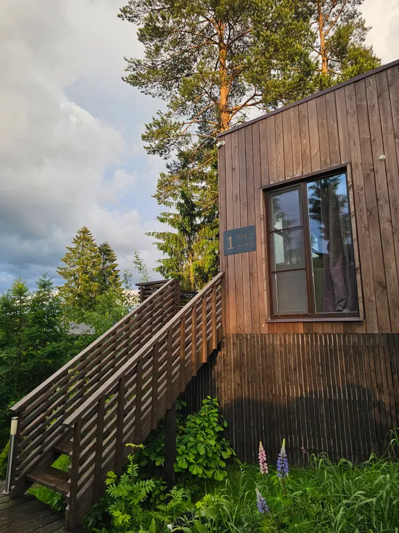 Черничный склон коттедж Violet house