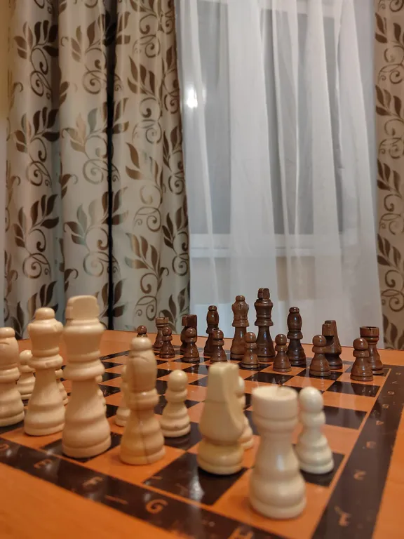 Квартира-студия, 20,6 м²