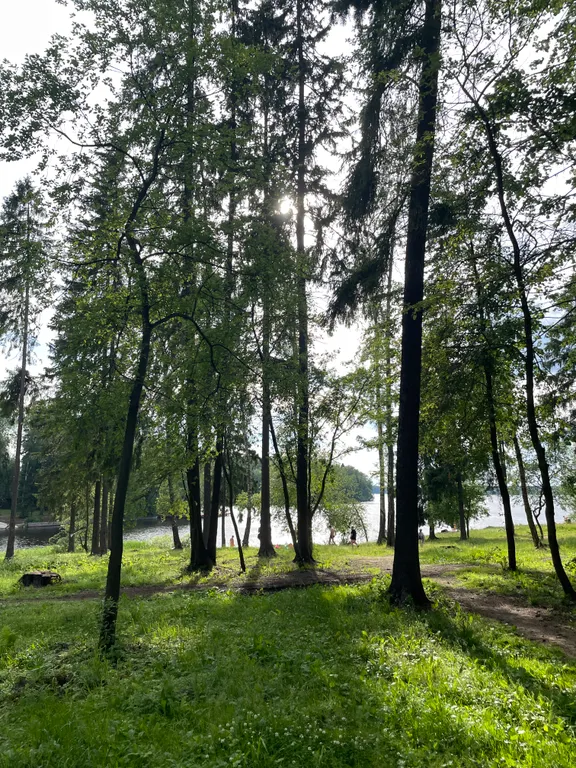 Уютный дом с сауной рядом с лесом и пляжем