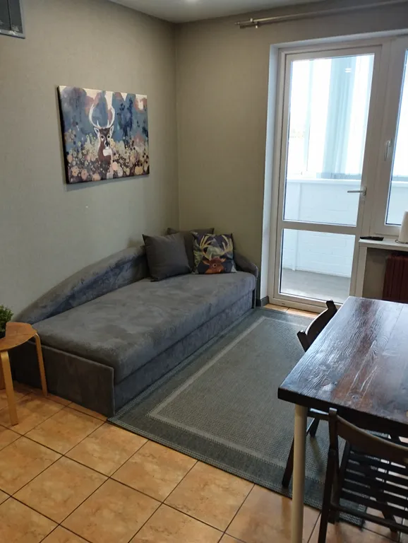 Однокомнатная квартира у Амфитеатра — аренда посуточно в Витебск