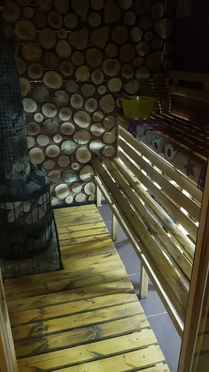 Дом Лесной с баней и купелью базы «Онегинхутор»»