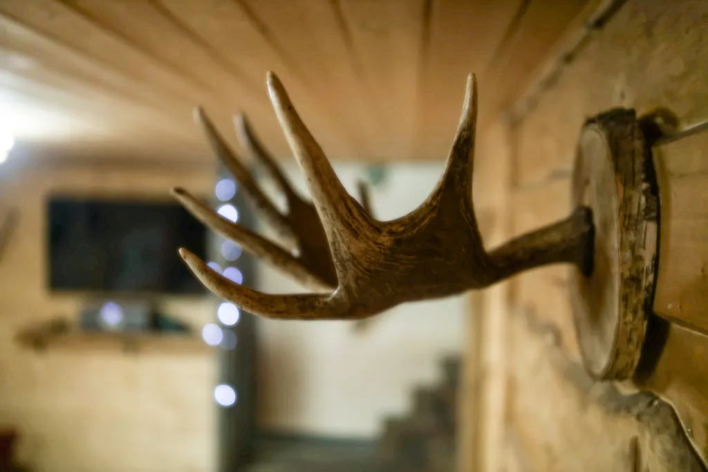 Новый развлекательно-банный комплекс на берегу реки