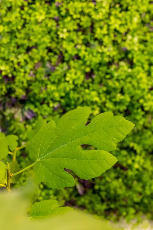 Костер и море - Тёплый дом в центре Йошкар-Олы