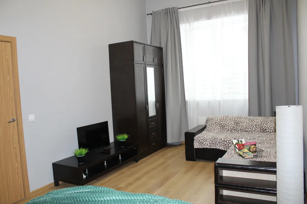 Квартира Просторная квартира у НИИ Петрова/Гранова — Песочный