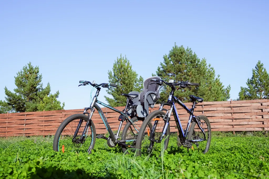 Дом с видом на лес