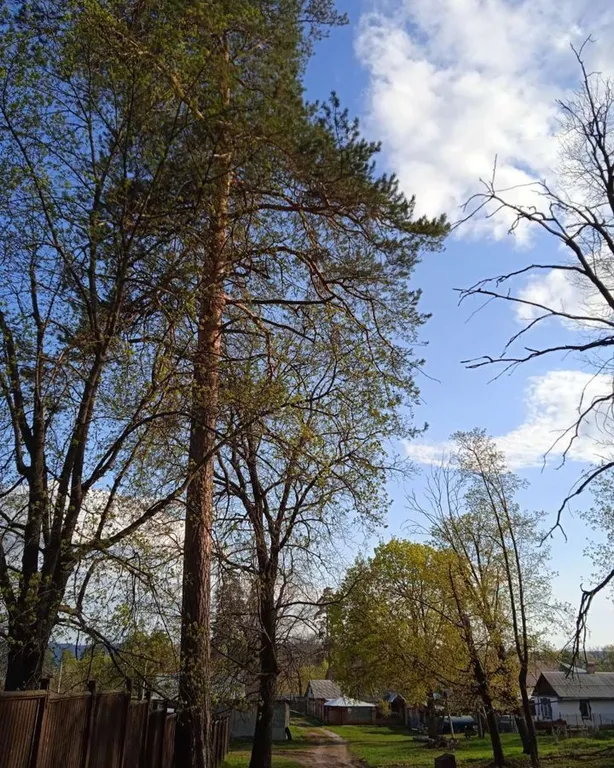 Голубой домик с баней