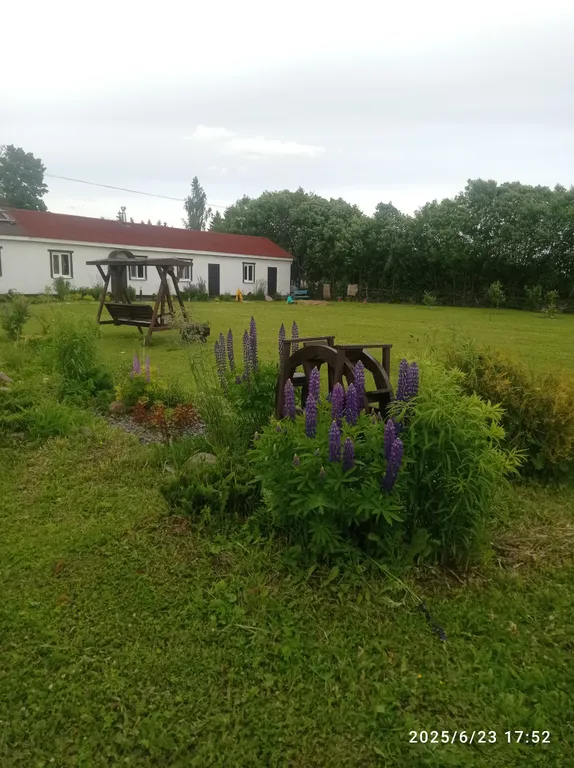 Коттедж Домик хоббита — Синковицы