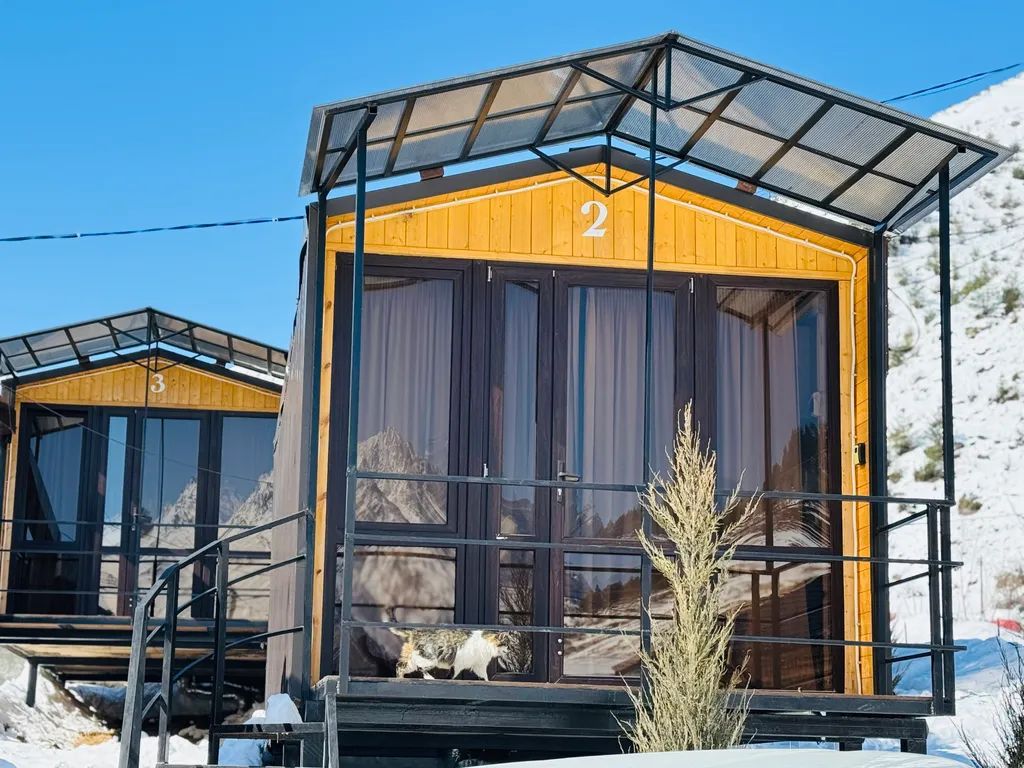 Дом с видом на лес