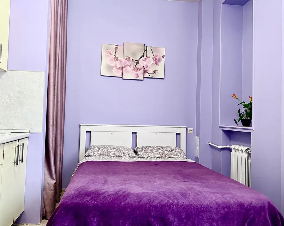 Уютная студия в центре