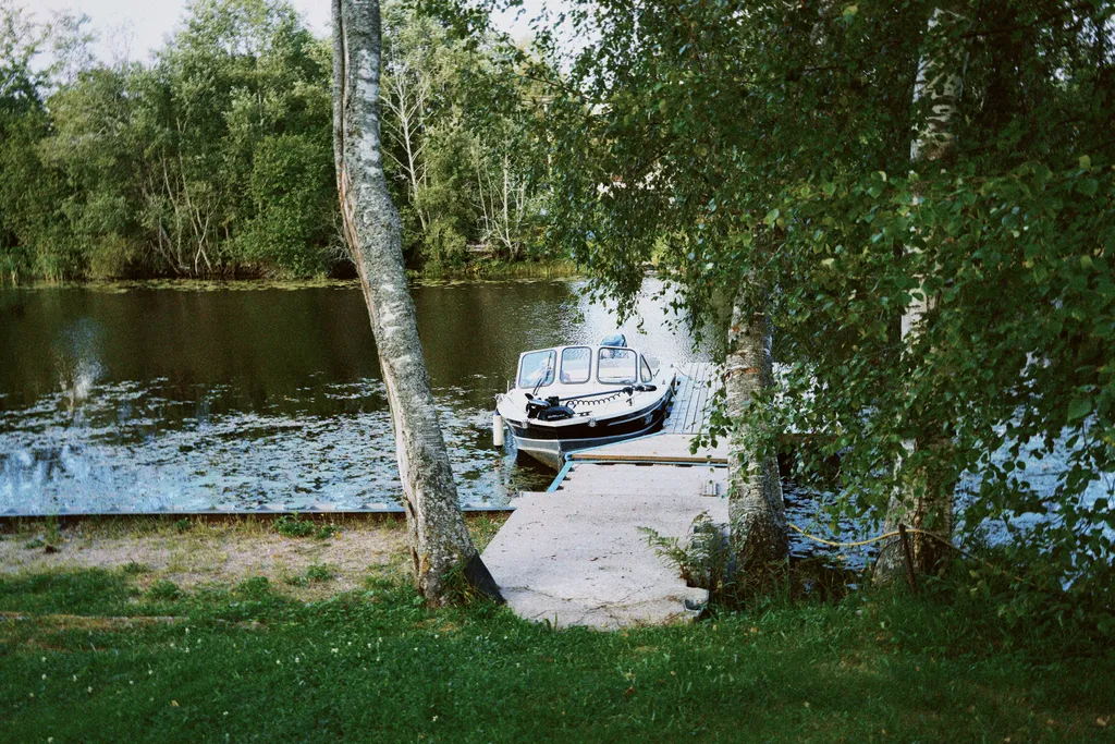 Дача у Вольдемарыча