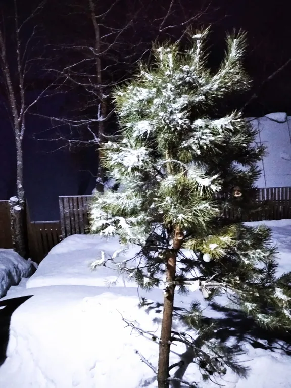 Уютный коттедж на реке