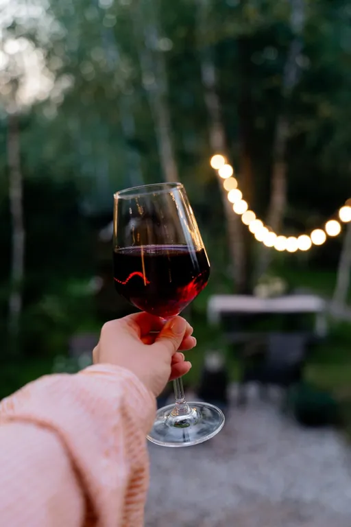 Уютный дом с сауной в лесу