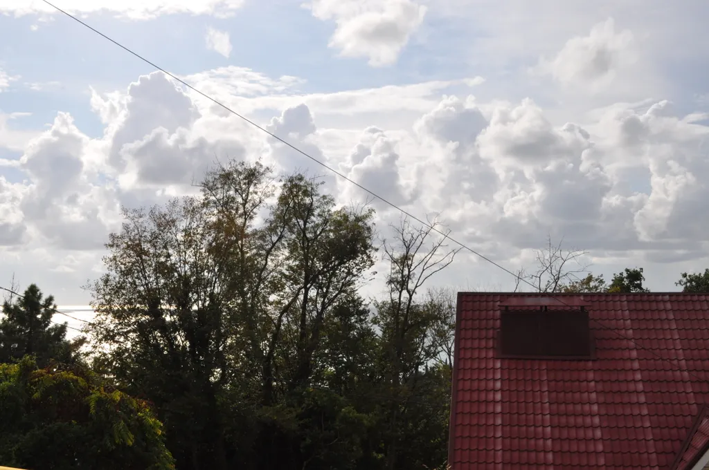 Квартира Квартира Семейный номер на 2 этаже — Лазаревское