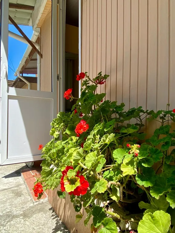 Квартира Уютная квартира в центре города — Сочи