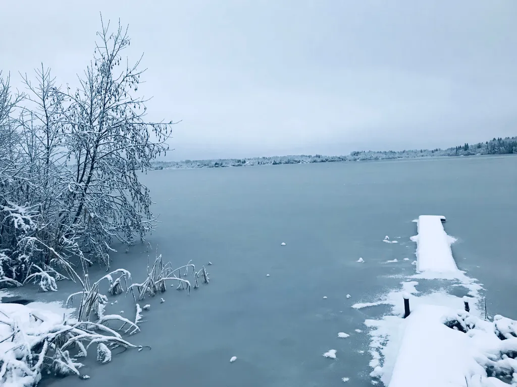 Три Галки Дом в саду