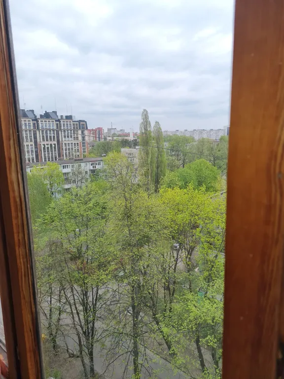 Квартира Уютная квартира в центре города — Калининград