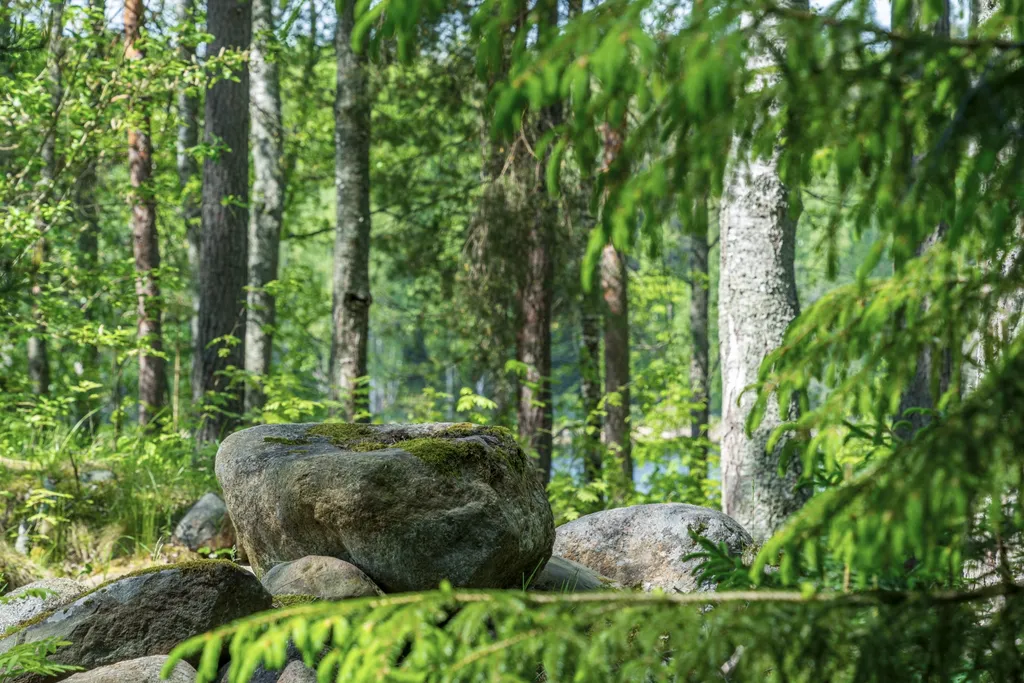 Малый коттедж с сауной