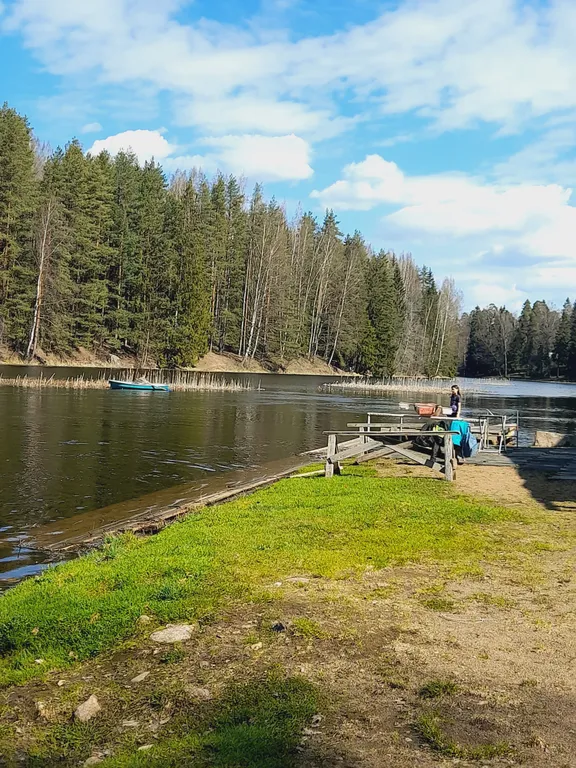 Коттедж Дом Симанского — Сиверский