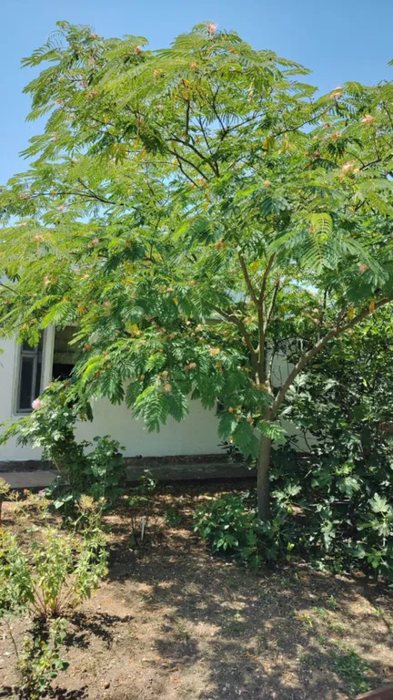 Комната с отдельной кухней и санузлом