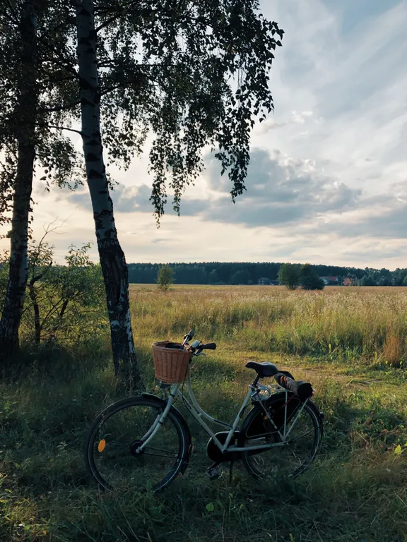 Уютный дом для семейного отдыха