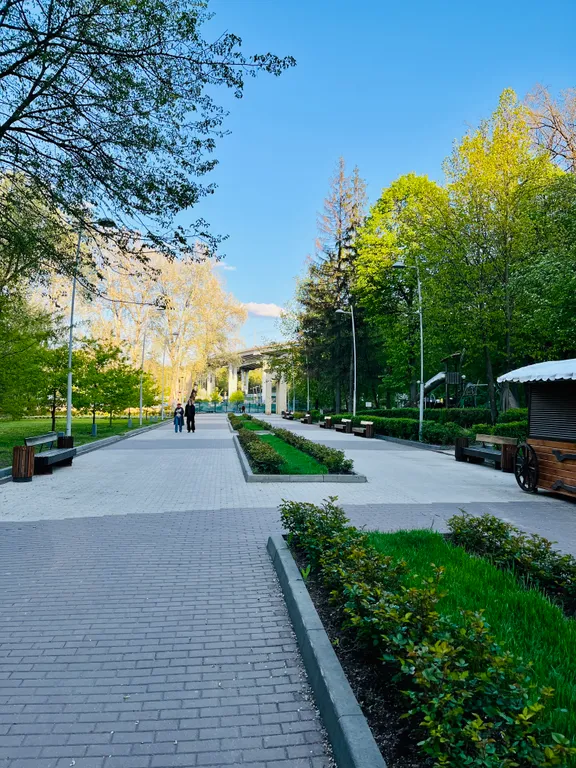 Квартира в центральном районе