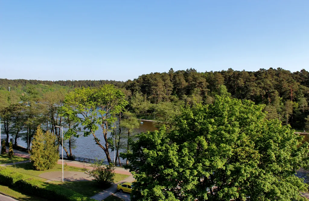 Квартира Квартира Studio Light — Светлогорск