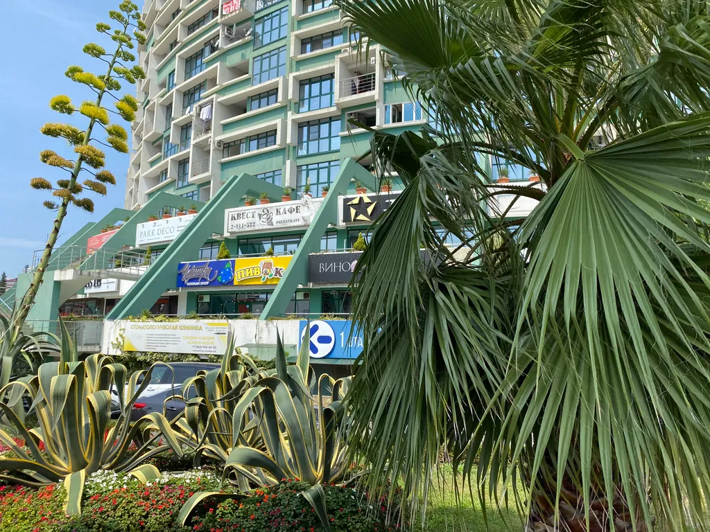 Квартира Квартира Сочи на ладони! Центр. Парковка. Кухня-гостиная и две спальни. — Сочи