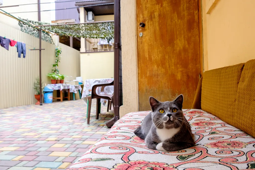 Квартира Квартира Уютный дворик у Татьяны Александровны — Анапа