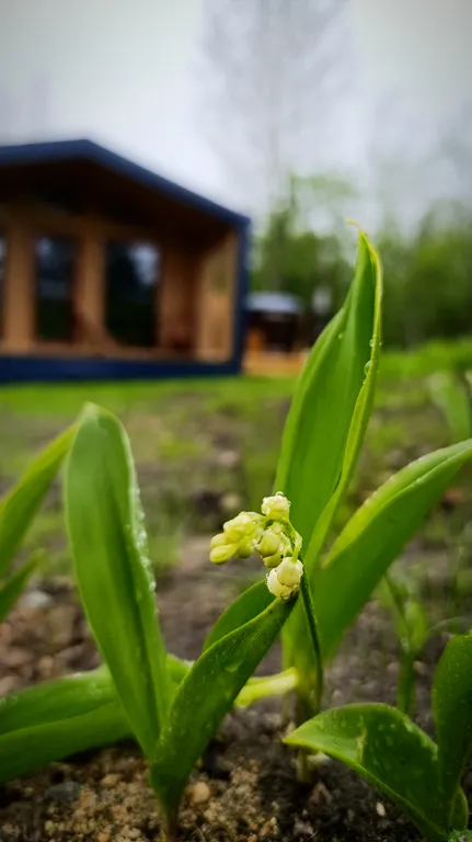 Гостевой дом Kielo