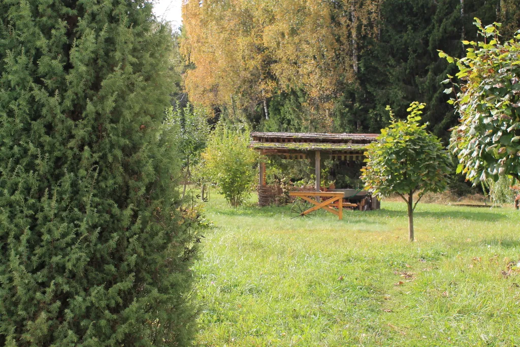 Коттедж Загородный уютный дом с баней и калиткой в лес — Большие Семенычи